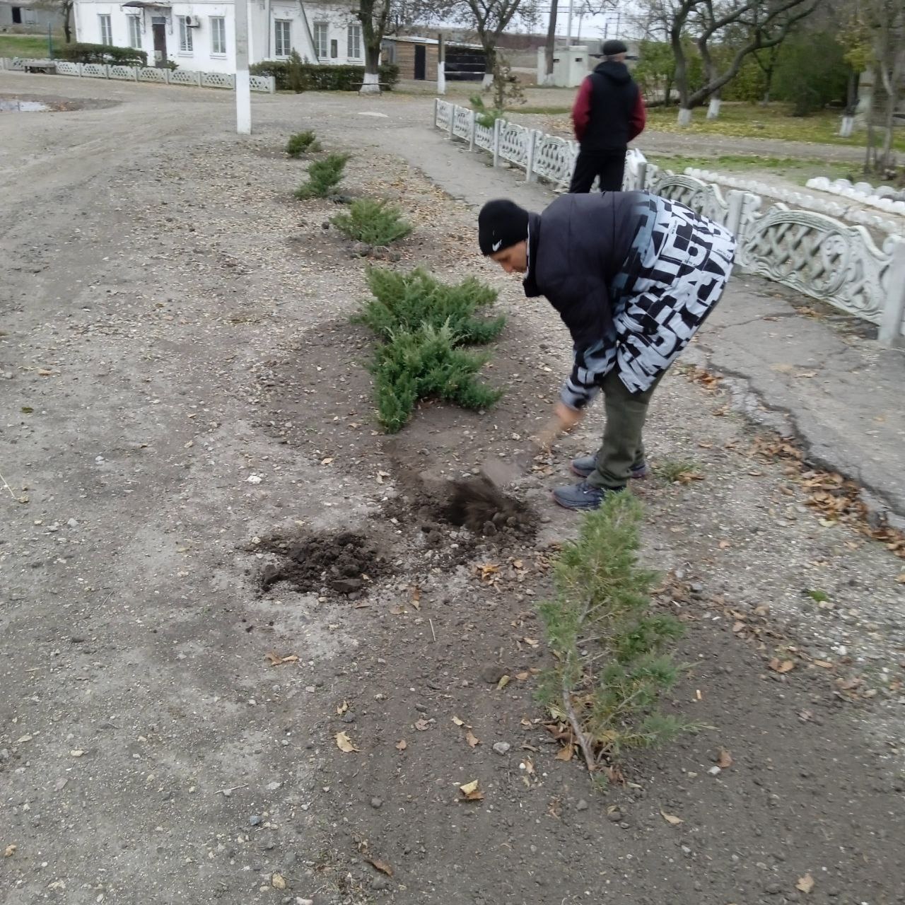 🌲🌳 В Сокологорном озеленяют общественные места.